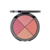 Aden Blusher Palette