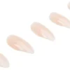 Ardell Nail Addict French Ombre Fade