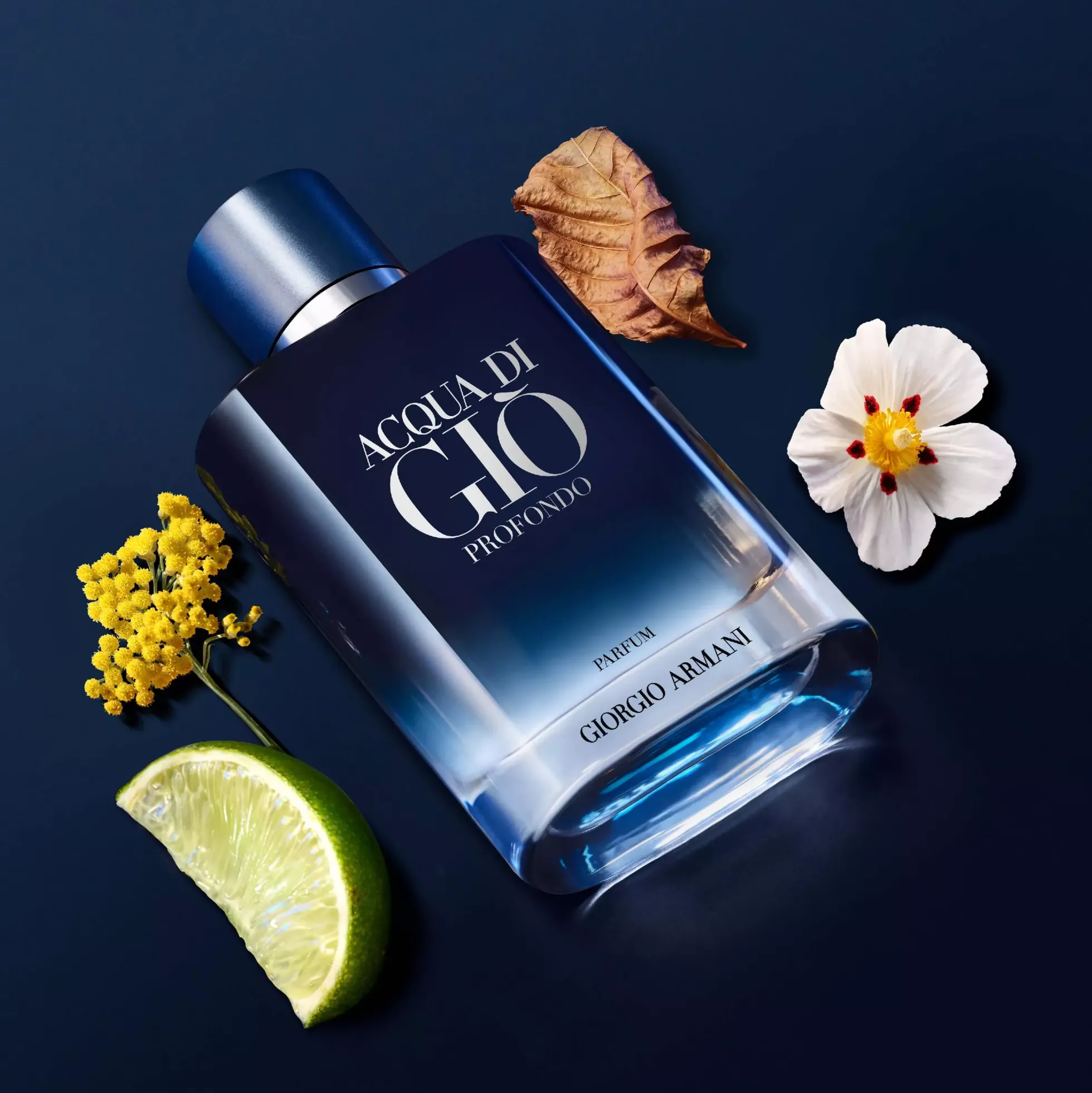 ArmaniAcqua di Giò Profondo Parfum 100 ml