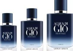 ArmaniAcqua di Giò Profondo Parfum 100 ml