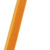 BIC 1 Sensitive