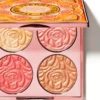 By TerrySunny Flash Glow Brightening Cc  Palette