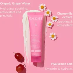 CaudalieVinohydra Sorbet Cream Moisurizer 60 ml