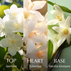 Chanson D'eau Jasmine Eau de Toilette 100 ml