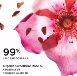 ClarinsLove Collection Lip Comfort Oil 31
