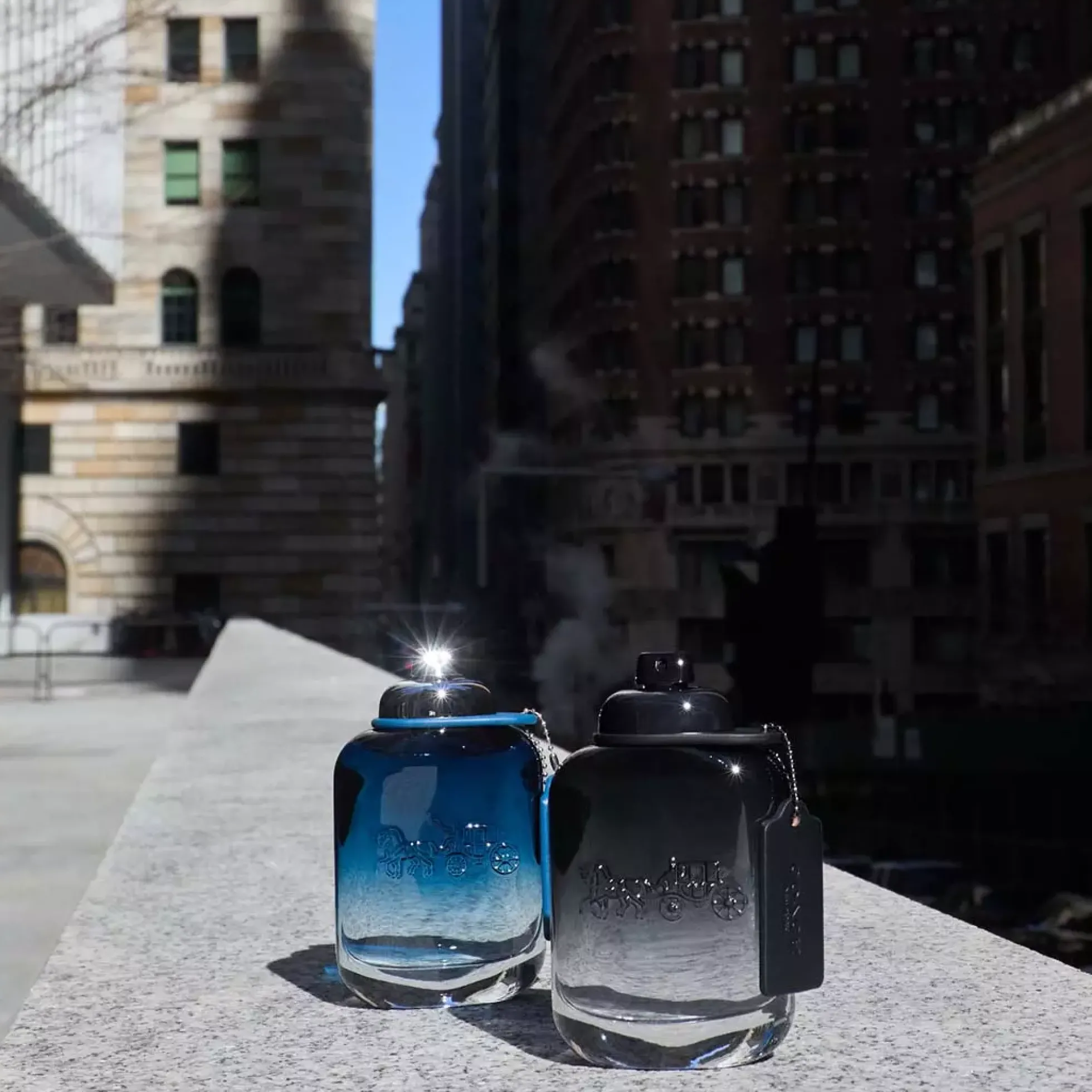 Coach Blue Edt 40 ml