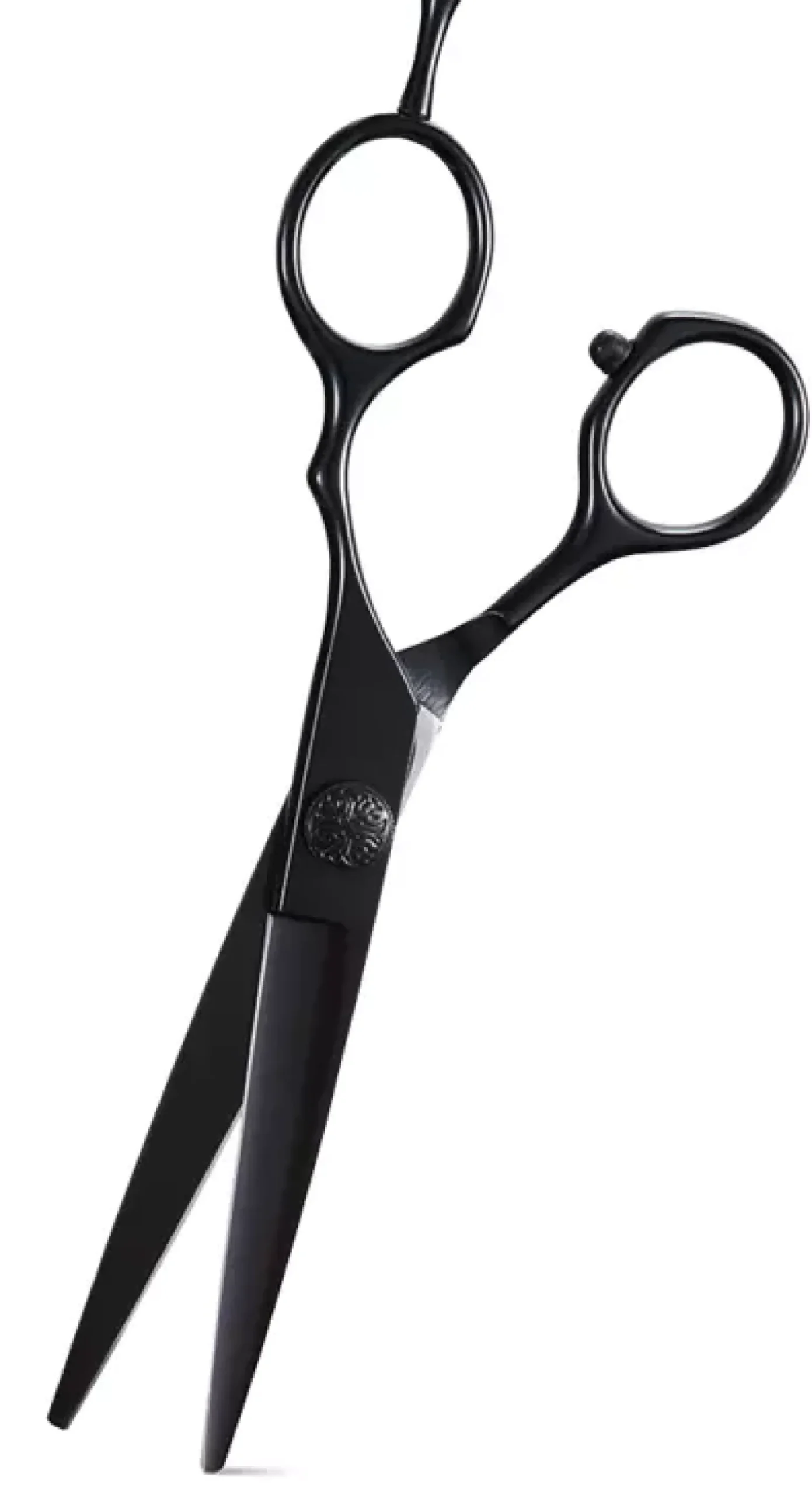 Dick JohnsonExcuse My French Beard Scissors La Couper