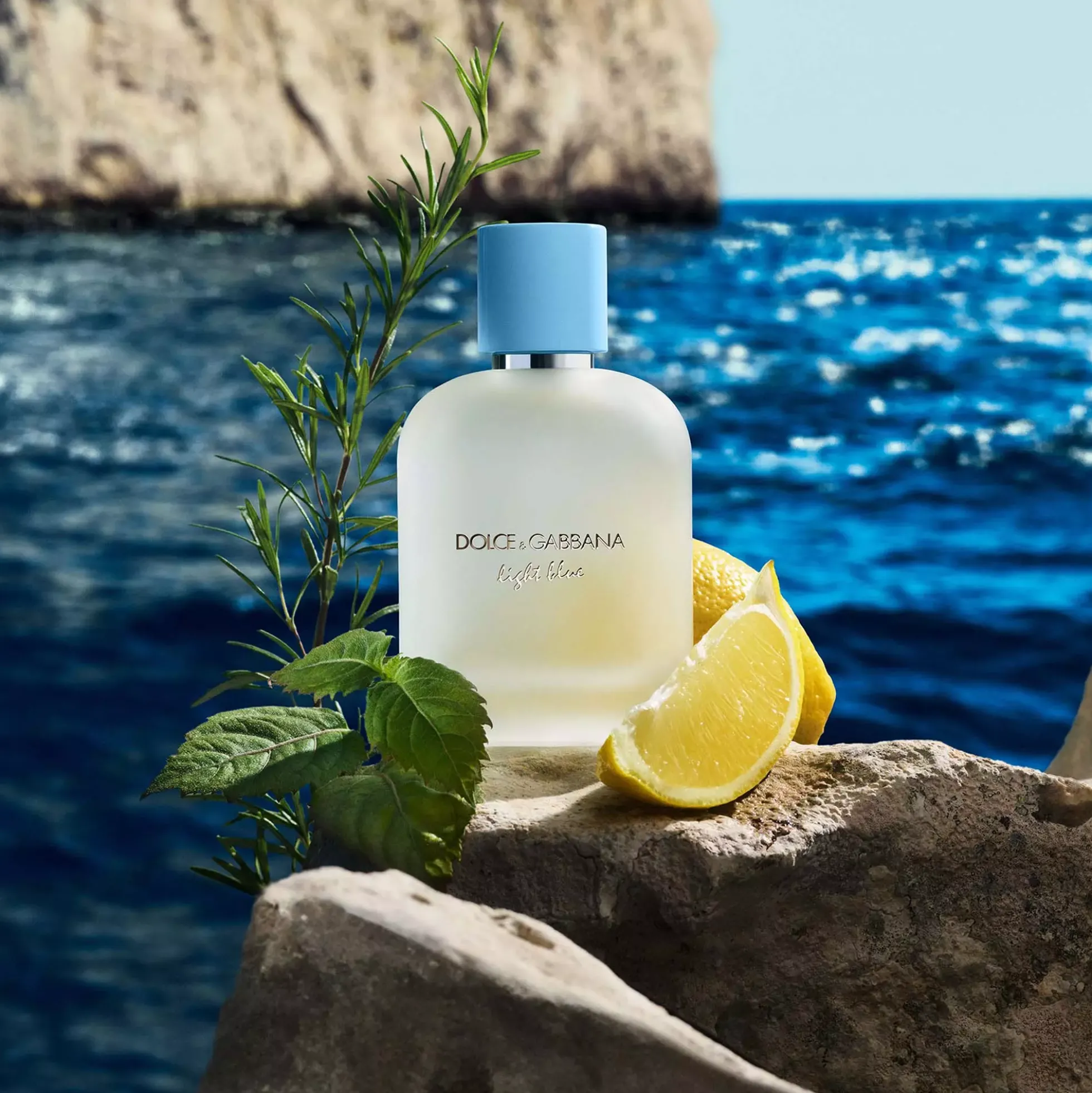 Dolce & Gabbana Light Blue Pour Homme Eau de Toilette 100 ml