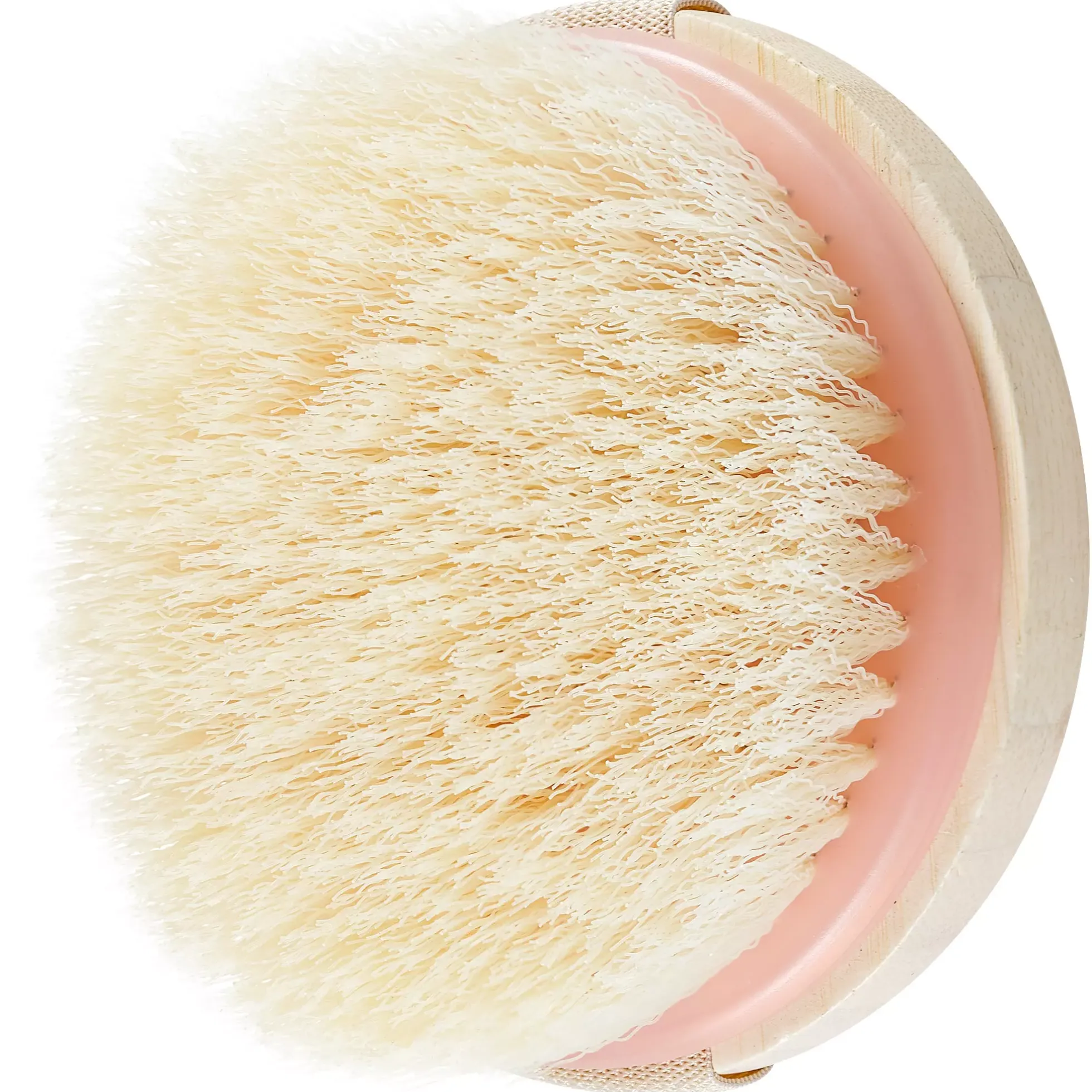 EcoTools Dry Body Brush
