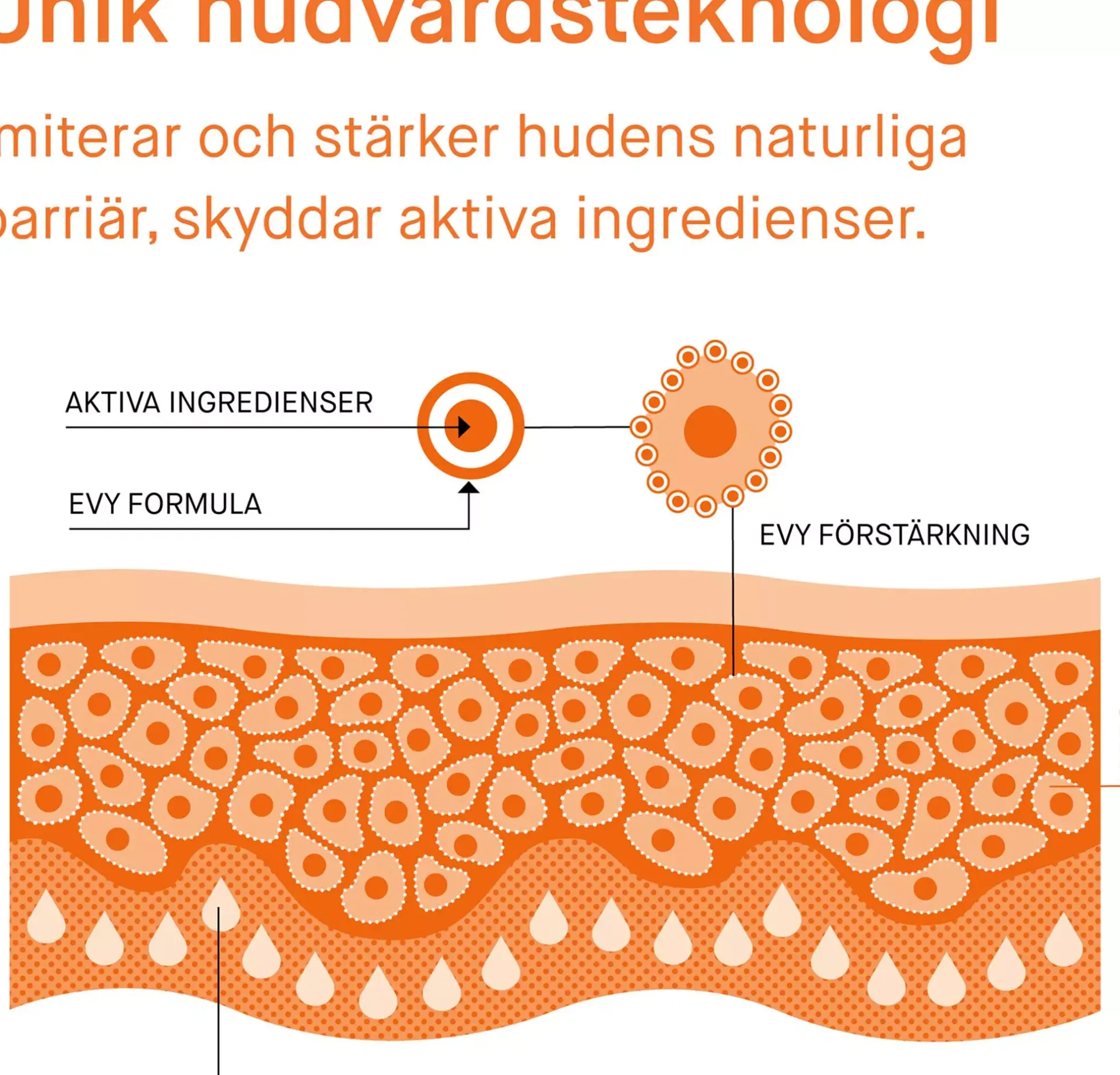 EVY Daily Defense Face Mousse SPF50 75 ml
