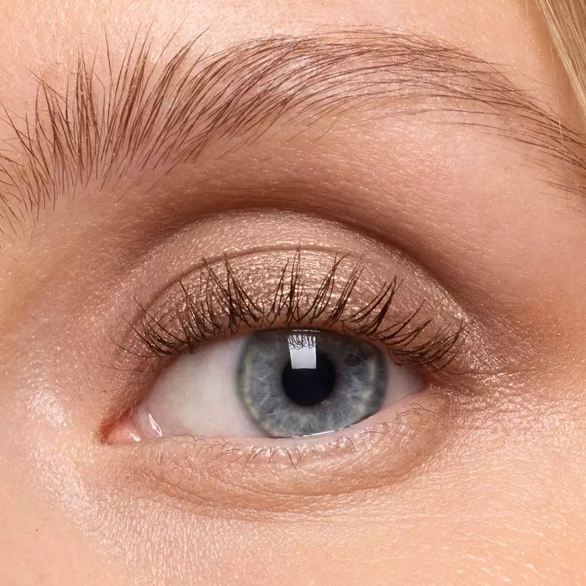 HICKAP Fire Eyes Cream Shadow Andromeda
