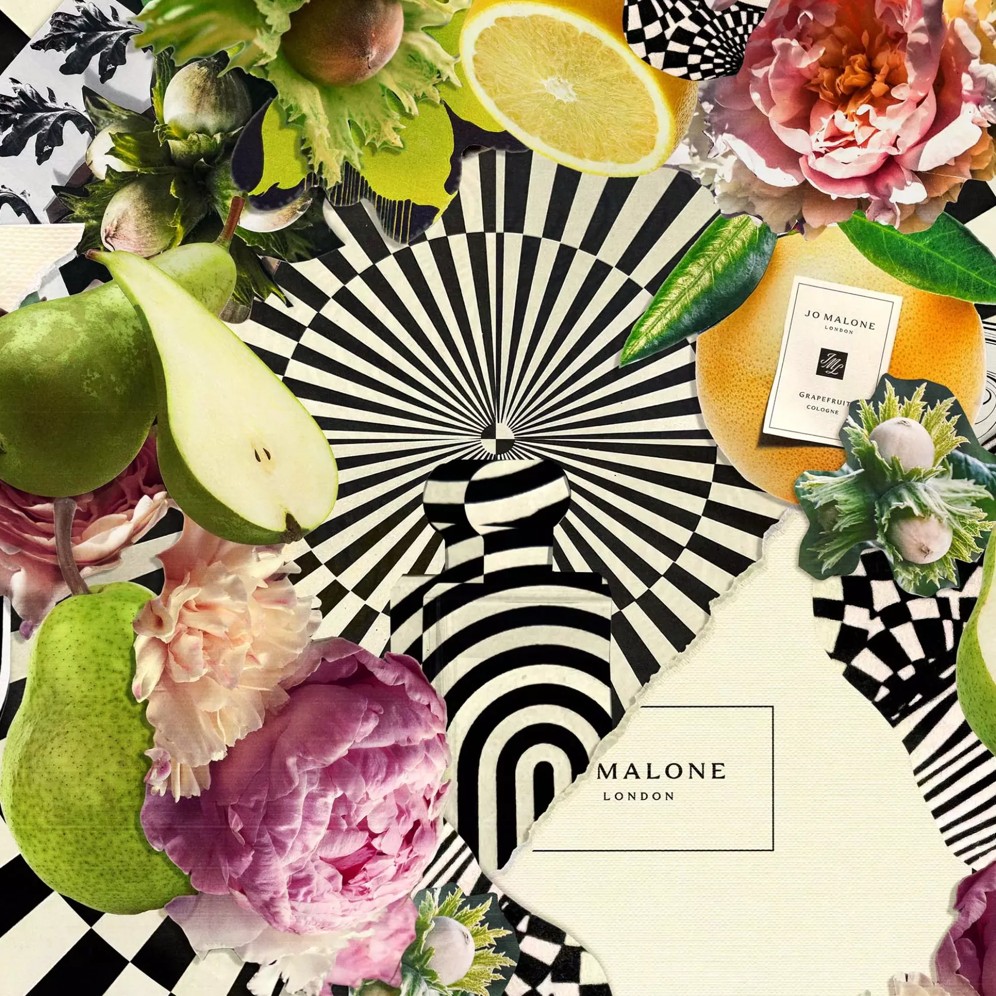 Jo Malone London Wood Sage & Sea Salt Layering Collection