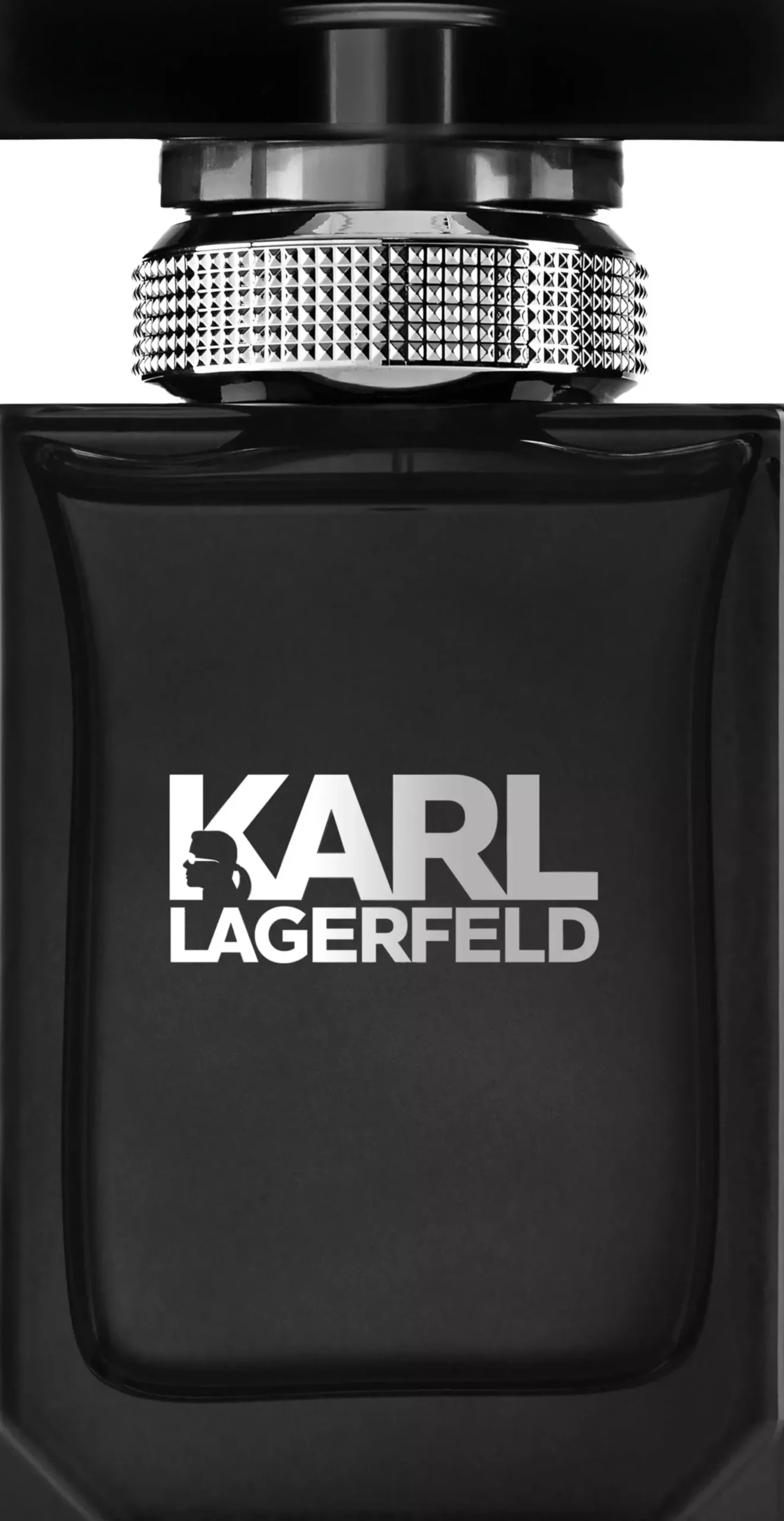 Karl Lagerfeld Pour Homme Eau de Toilette 100 ml