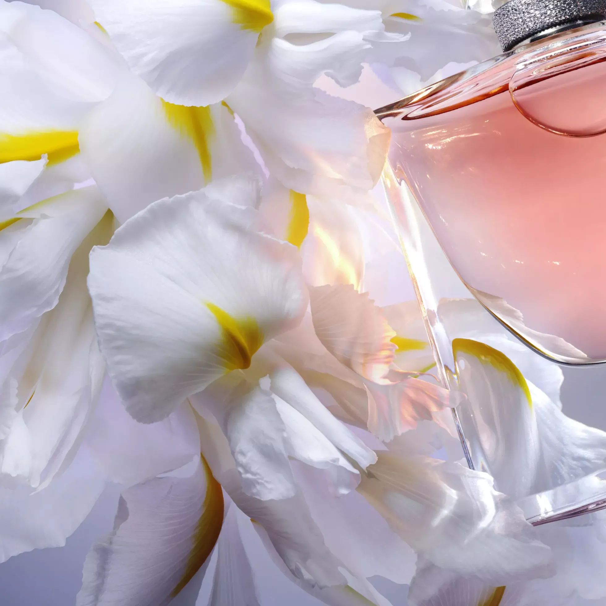 LancômeLa Vie est Belle Eau de Parfum 50 ml