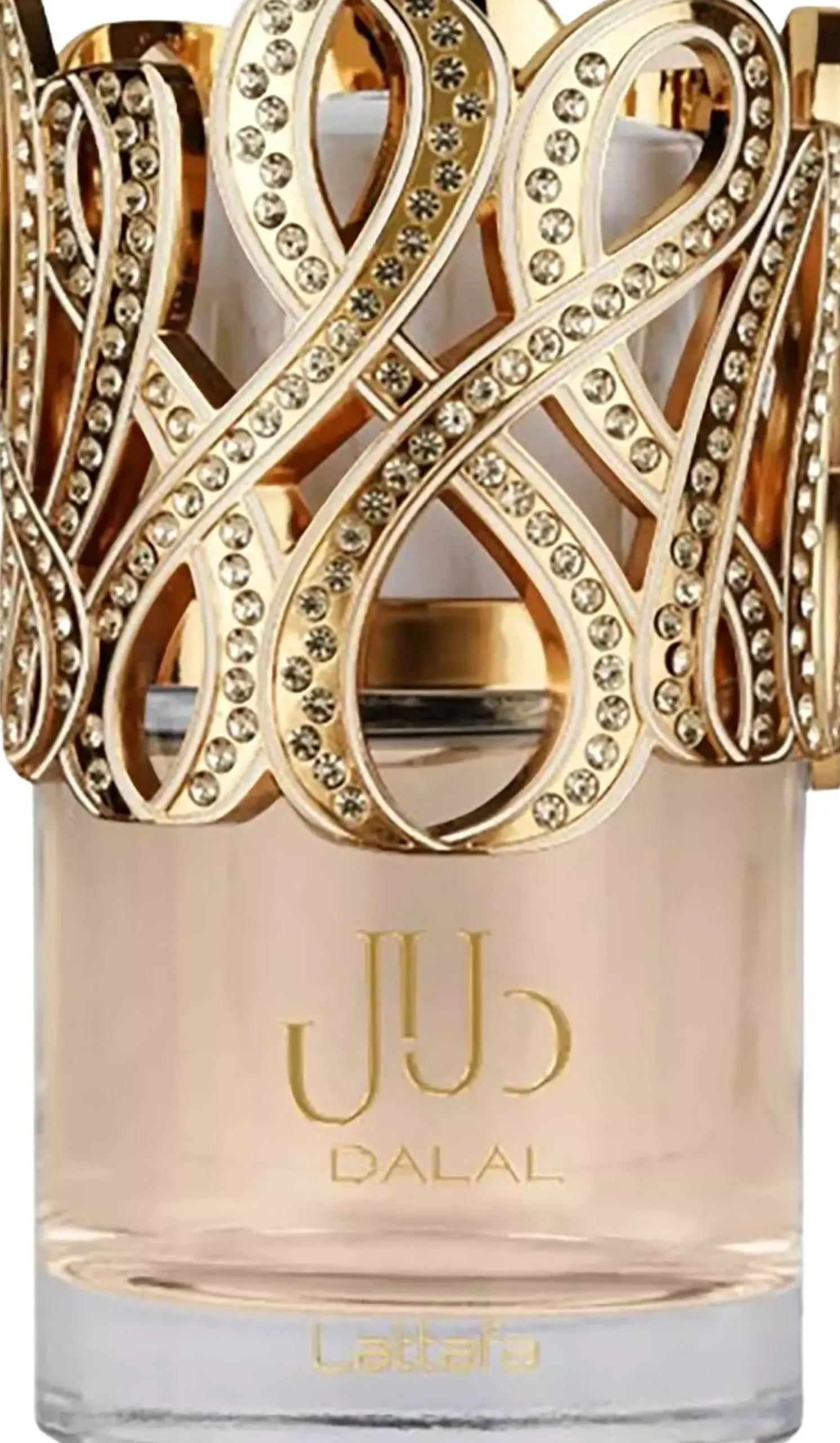 Lattafa Dalal Eau de Parfum 100 ml