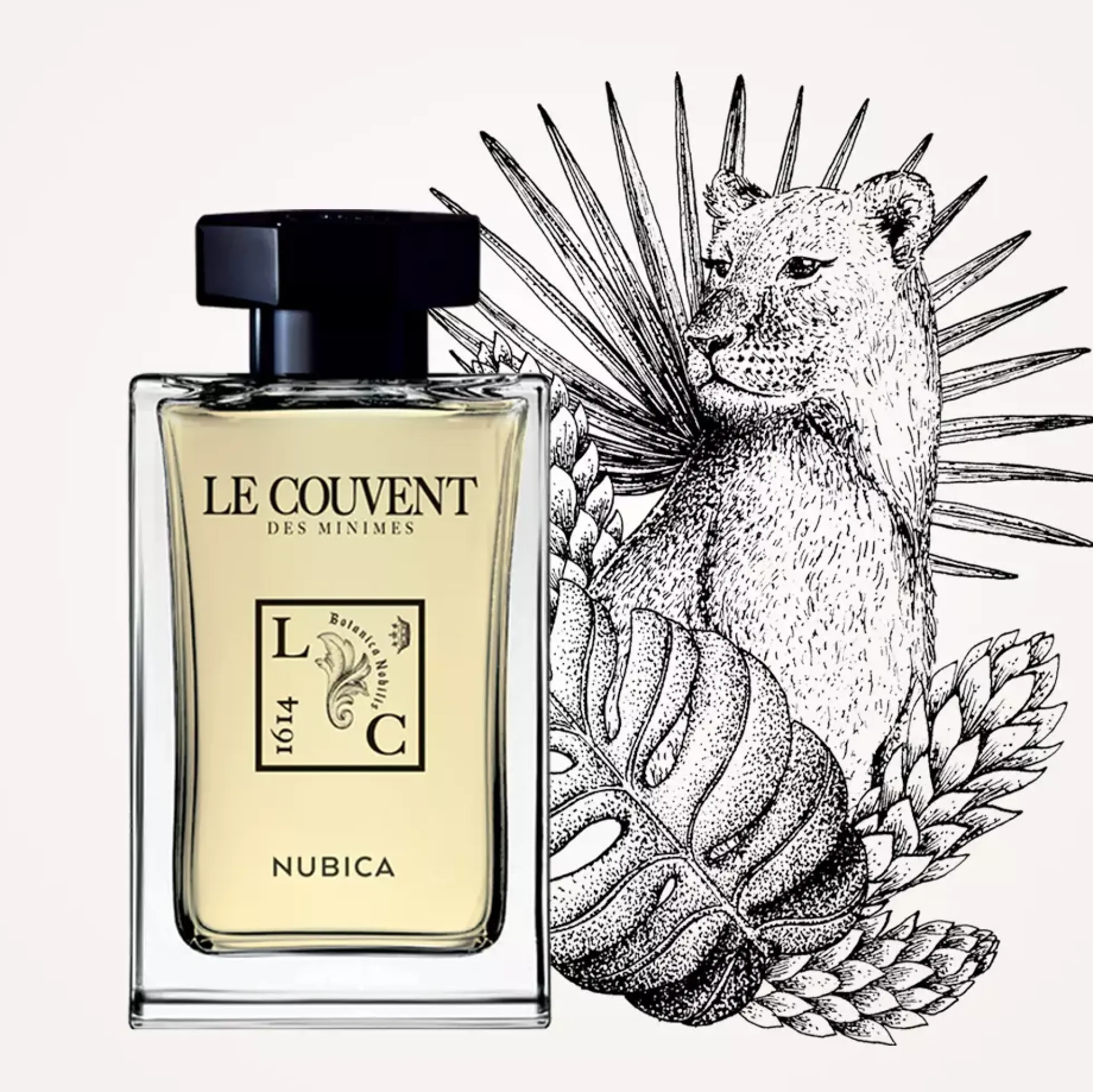 Le CouventNubica Eau de Parfum Singulière Eau de Parfum 50 ml