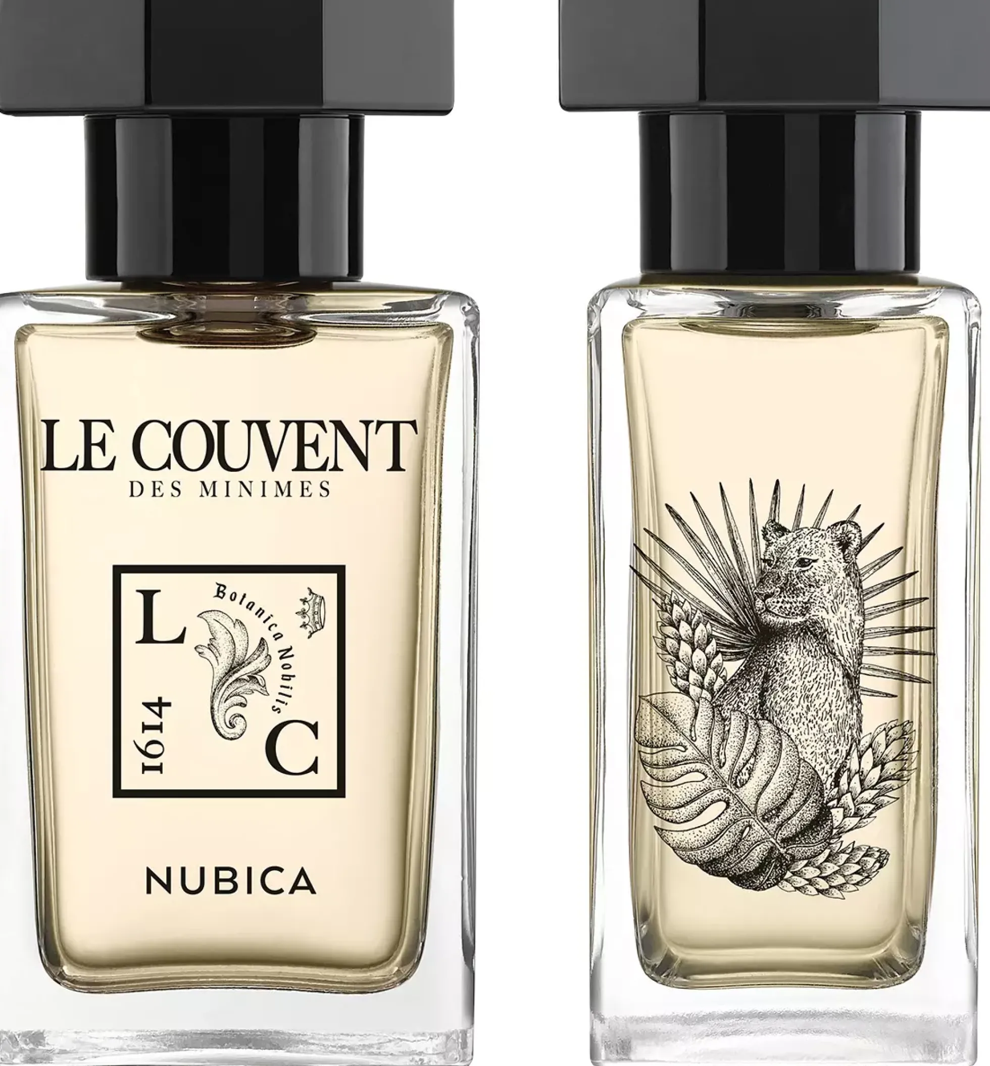 Le CouventNubica Eau de Parfum Singulière Eau de Parfum 50 ml
