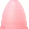MonthlyCup Plus Pink