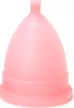 MonthlyCup Plus Pink