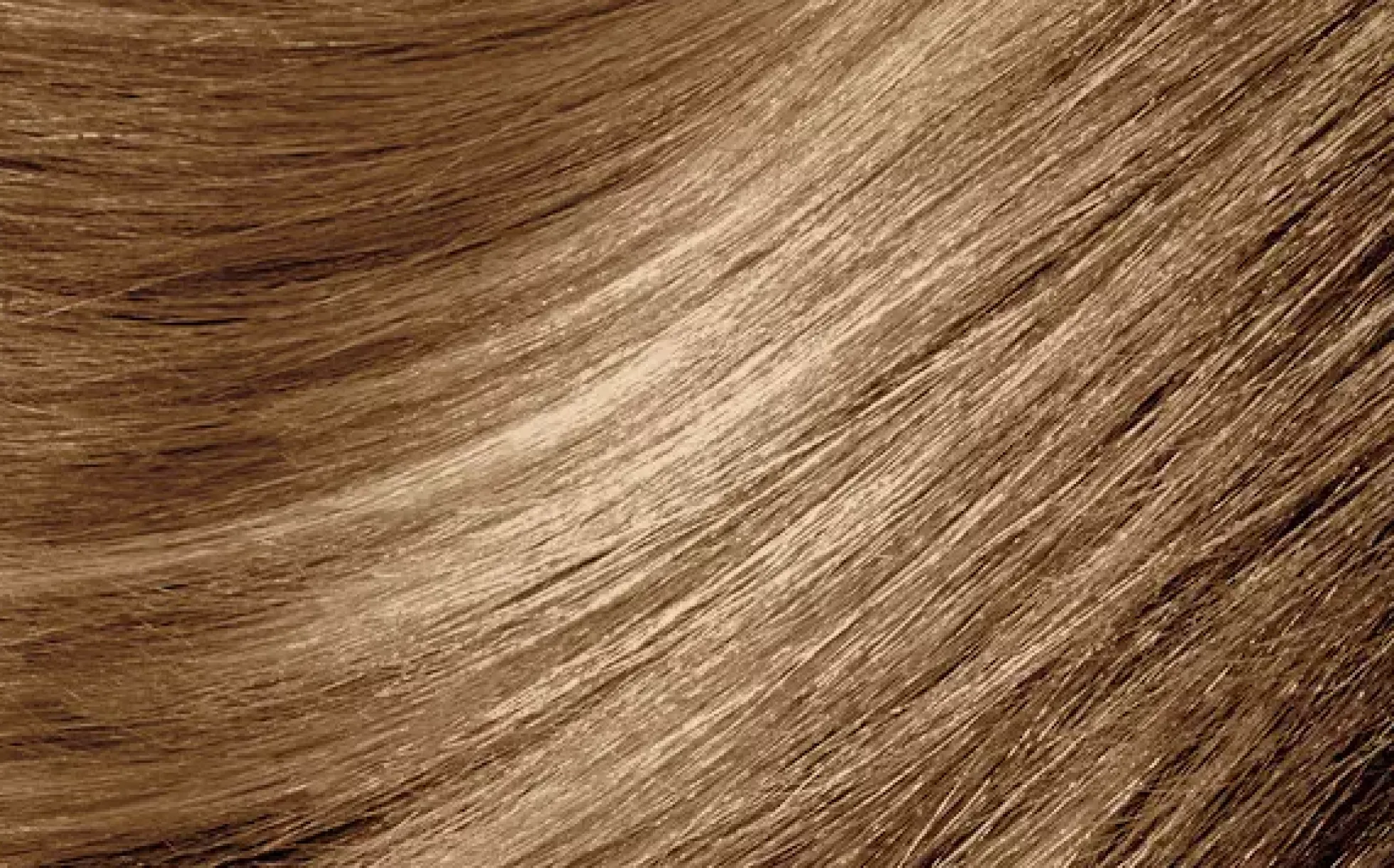 MontibelloDénuée OTC 8.31 Ljusblond Gyllene Ask