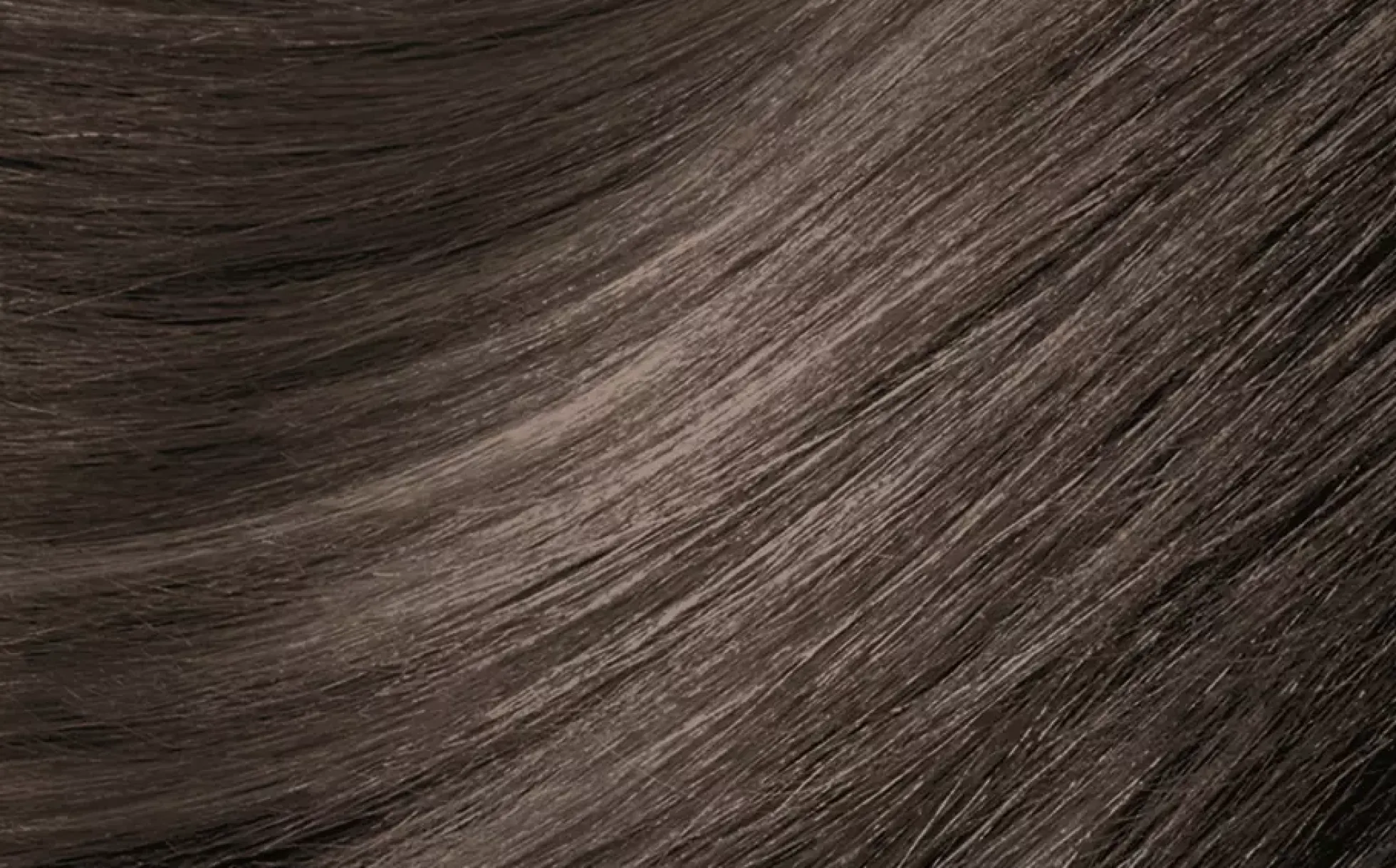 MontibelloDénuée OTC 6.1 Mörkblond Ask