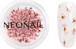 NEONAIL Dried Flowers 01 - Pink