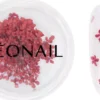 NEONAIL Dried flowers 08 Red
