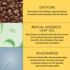 NioxinSystem 1 Scalp Treatment for Thinning Hair 100 ml