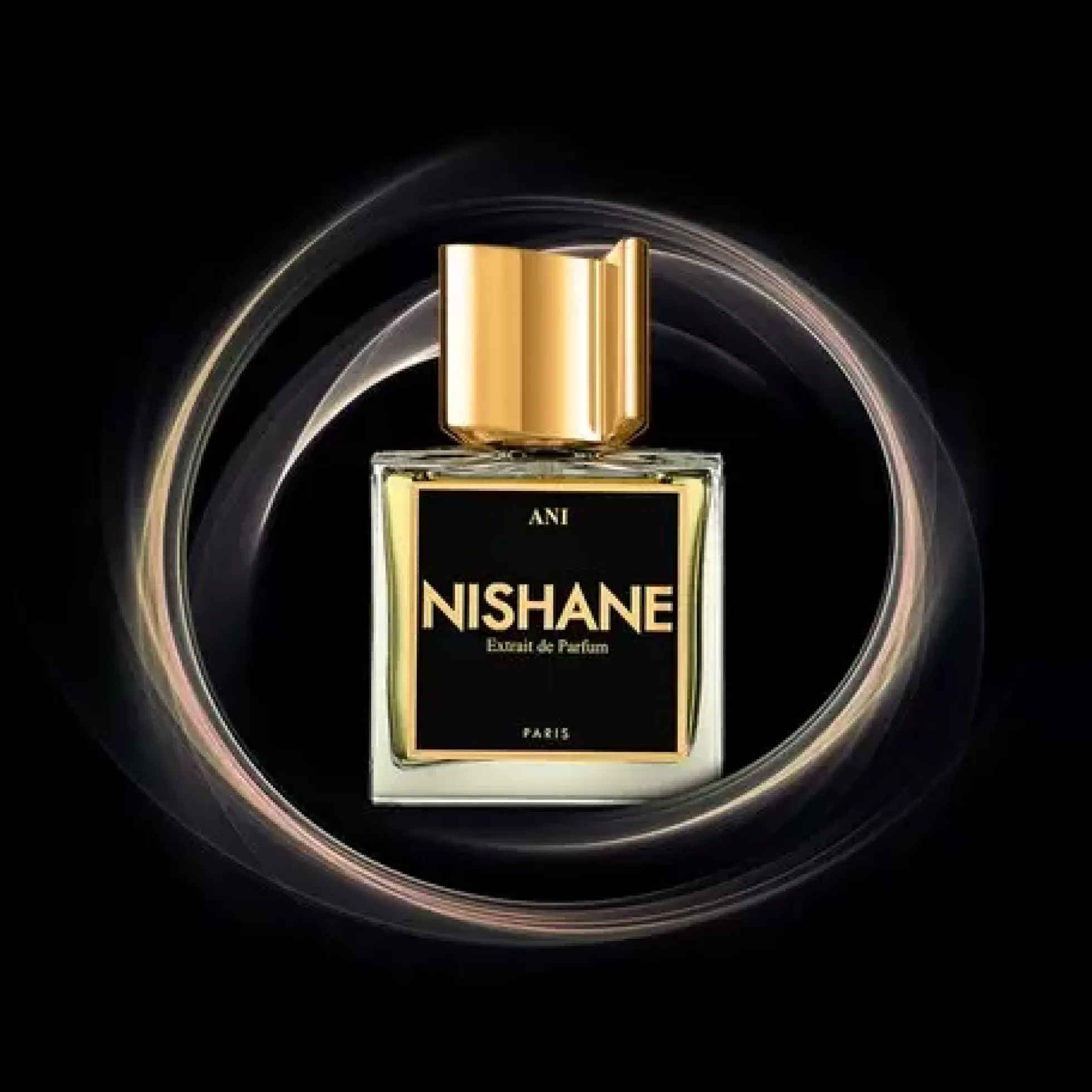 Nishane Ani 100 ml