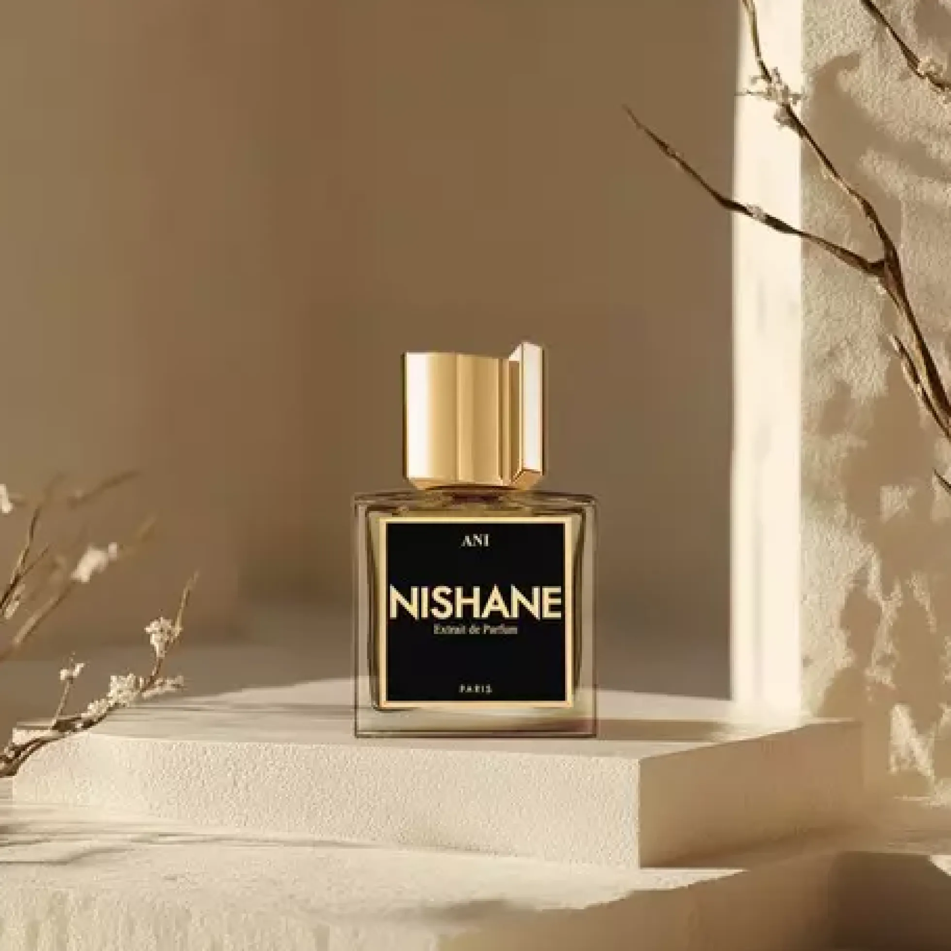 Nishane Ani 100 ml