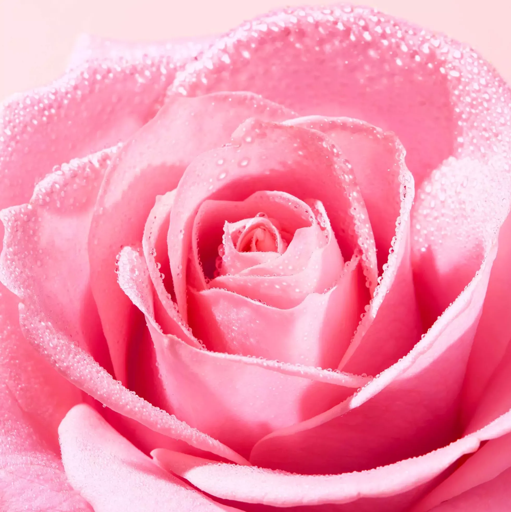 NuxeVery rose Light Cleansing Foam 150 ml