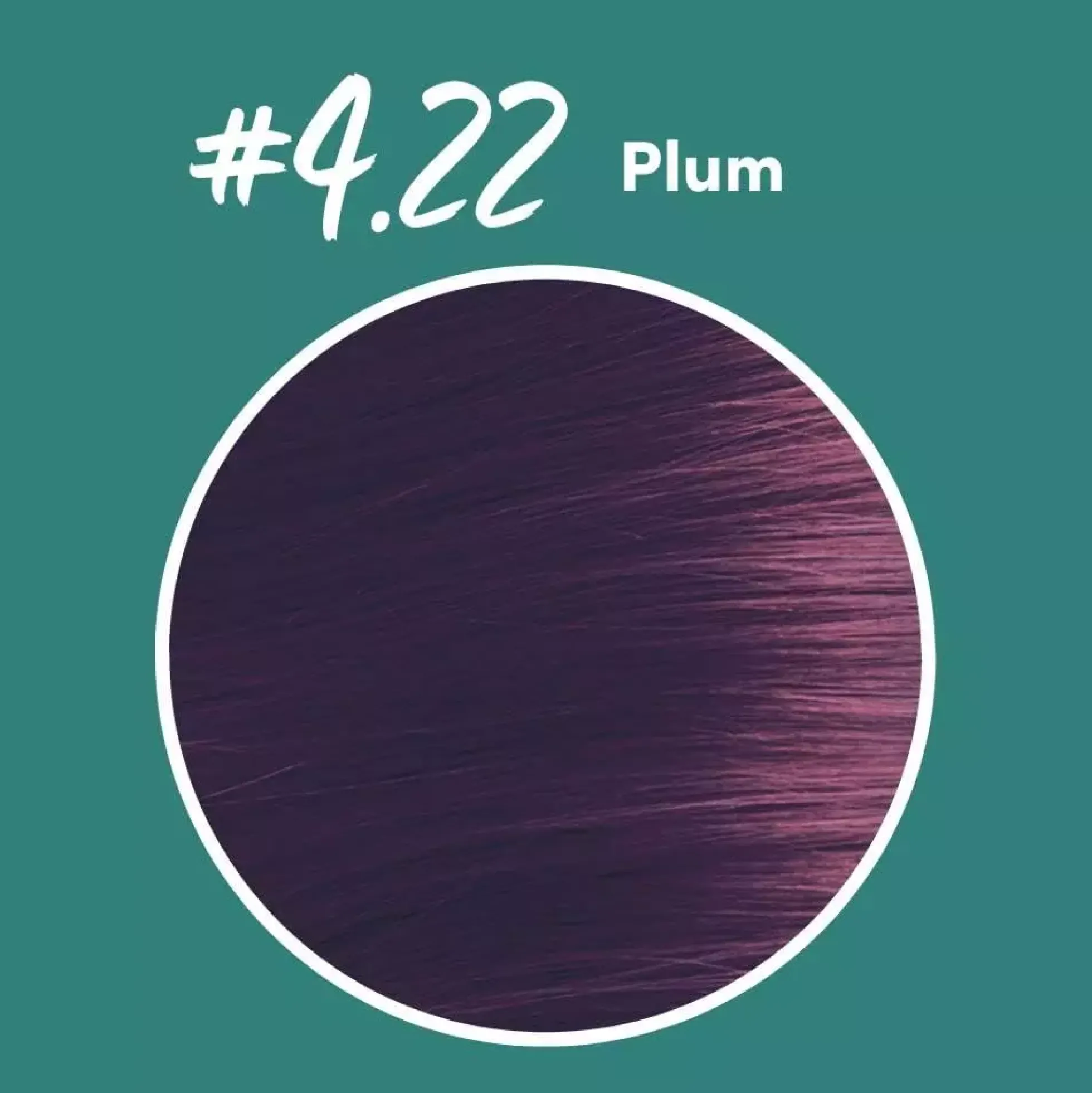 Oiamiga Permanent Hair Colour Plum