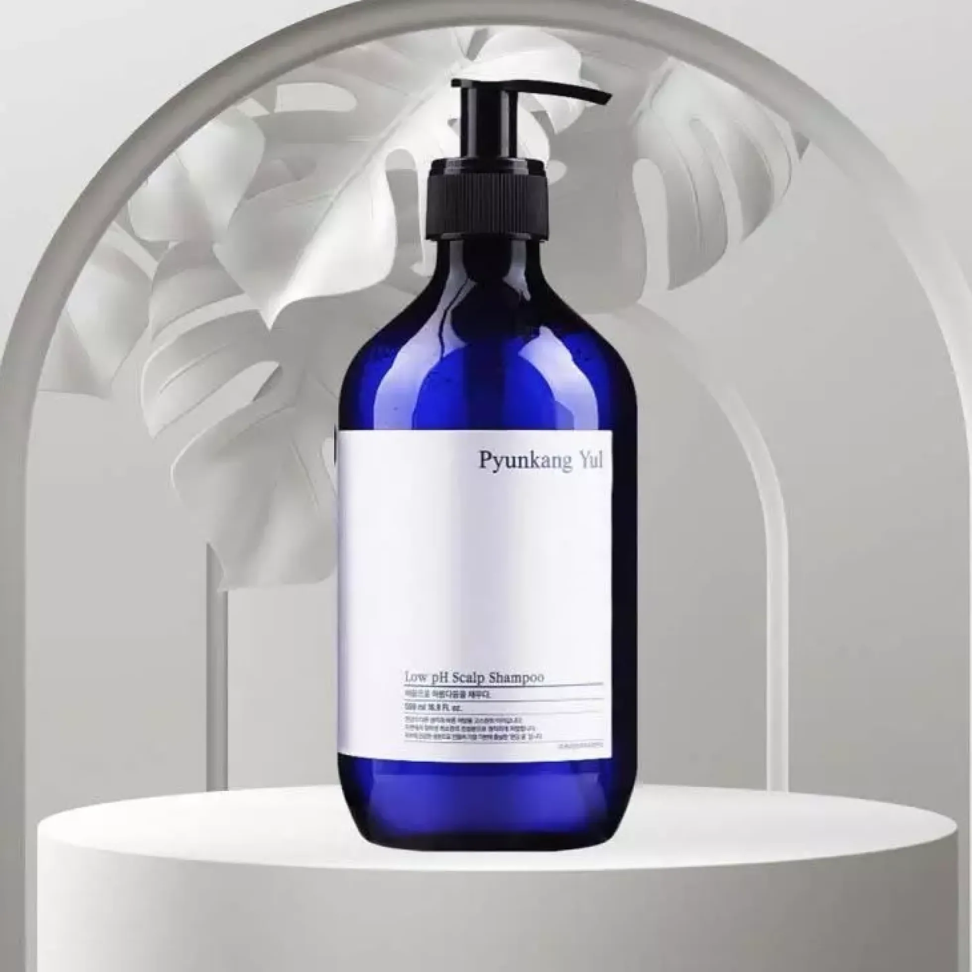 Pyunkang Yul Low pH Scalp Shampoo 500 ml