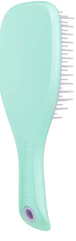 Tangle TeezerThe Wet Detangler Mini