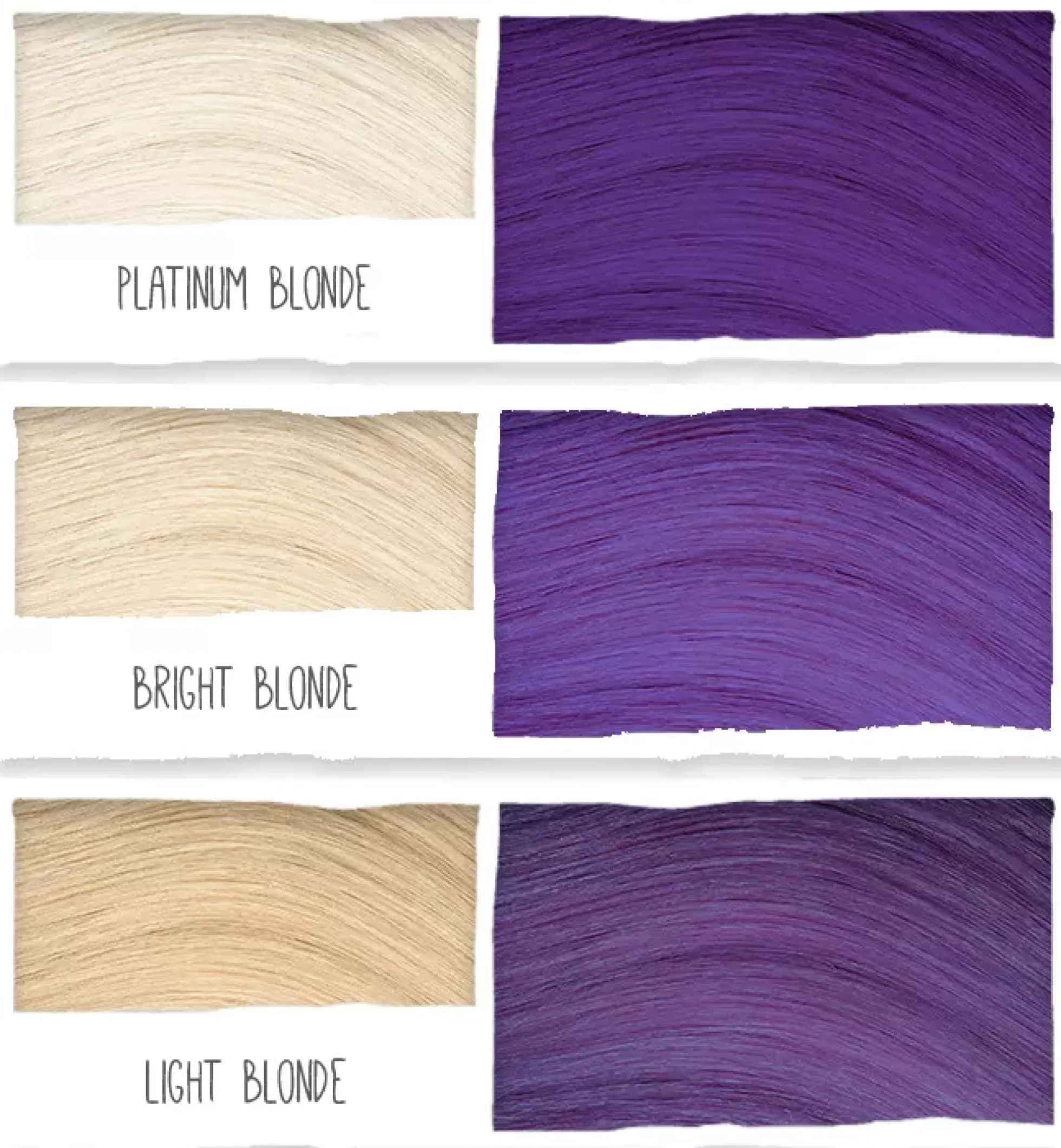 Tints of Nature Bold Colours Purple