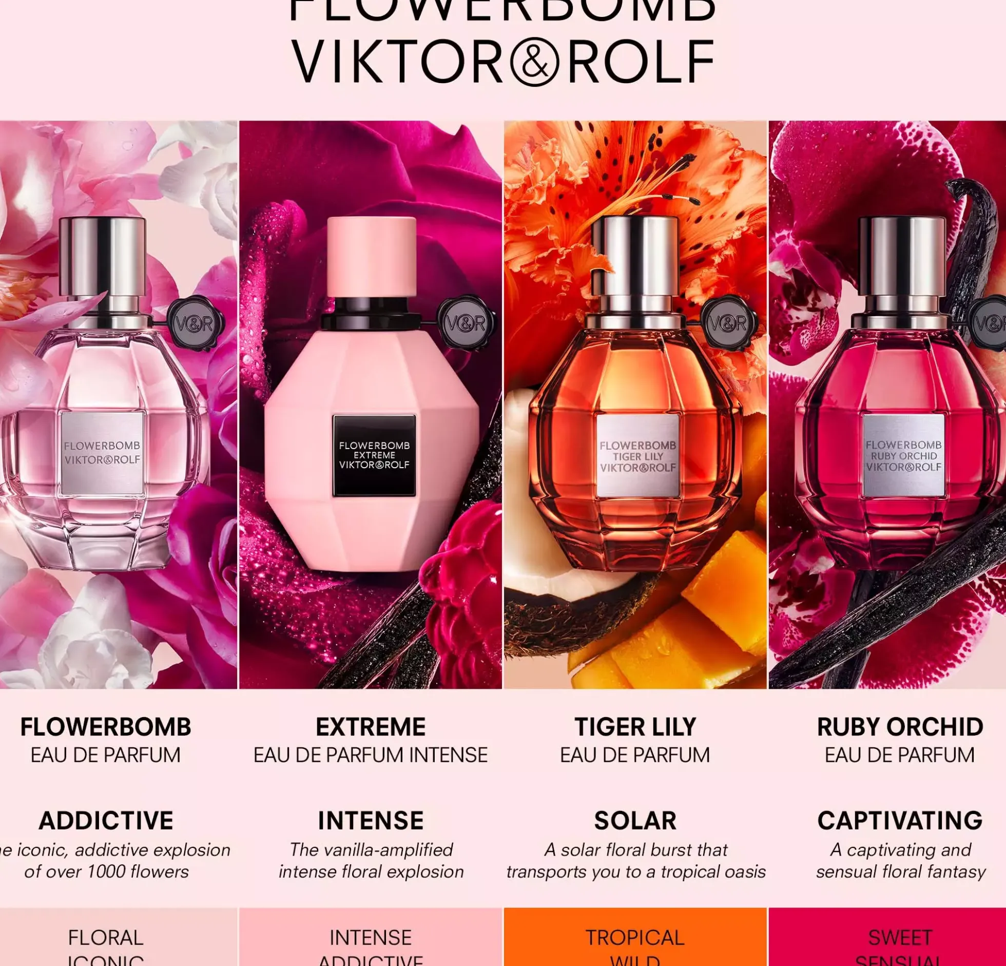 Viktor & RolfFlowerbomb Eau De Parfum Spray 50 ml